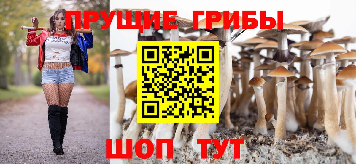 Кудымкар  Псилоцибиновые грибы мухоморы  Вход с VPN  Галлюциногенные грибы Psilocybe 