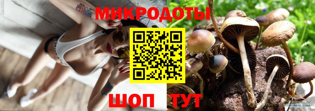 Псилоцибиновые грибы MAGIC MUSHROOMS Кудымкар